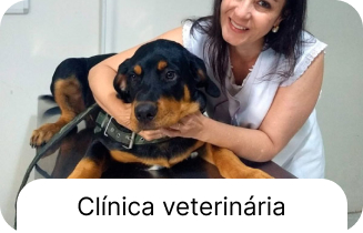 Serviço veterinário 1