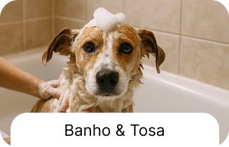 Serviço veterinário 4